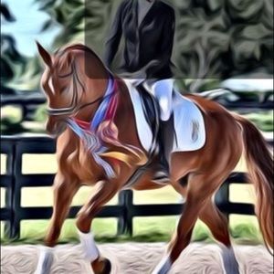 Meet your Posher, Melissa